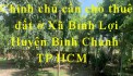 Chính chủ cần cho thuê đất ở Xã Bình Lợi - Huyện Bình Chánh - TP HCM