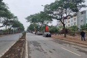 Bán đất Thanh Liệt Kim Giang 600m, lô góc, mặt đường đôi, kinh doanh sầm uất chỉ 22tr/m.