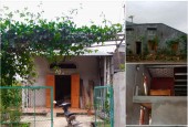Chính chủ cần bán nhanh căn nhà cấp 4 – gác lửng tại Thôn Gốc Mít - Xã Kháng Nhật - Huyện Sơn Dương - Tuyên Quang.