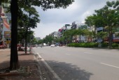 Nhà mặt phố Đàm Quang Trung Long Biên DT 100 m2 vừa ở vừa kinh doanh giá 8,8 tỷ