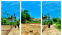Đất Điện Tiến hơn 200 Thuận Tiện Làm nhà vườn