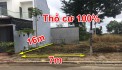 Đất mặt tiền giữa đường Nguyễn Phúc Chu và đường Nguyễn Cơ Thạch - Tp BMT
7x16m TC 100%. Giá chỉ 1.75 tỷ
