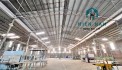 làng gỗ cho thuê nhà xưởng DT 4000m2 có trạm điện.