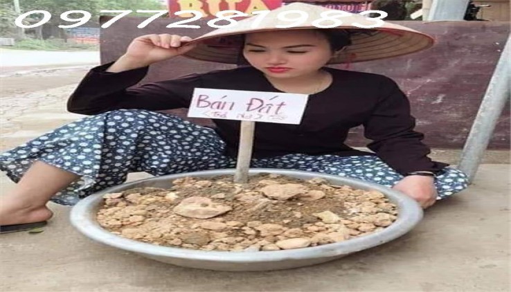 Cắt lỗ mảnh đất 42m Thị Trấn Trôi, Hoài Đức, giá 1.8x tỷ