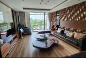 Bán nhà ngõ 1 phố Trần Quang Diệu, ô tô tránh, DTSD 45m2, MT4.5m, 5 tầng, Vị trí đẹp.