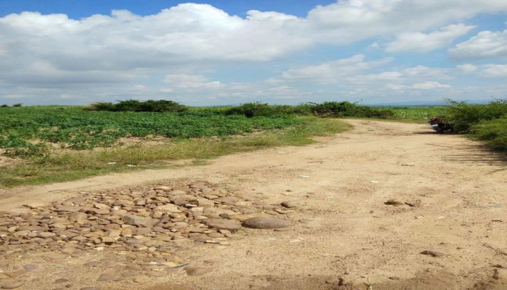 Cần bán gấp lô 2,1 mẫu tại huyện La Pa tỉnh Gia Lai