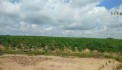 Cần bán gấp lô 1,6 mẫu đất  tại huyện La Pa, tỉnh Gia Lai