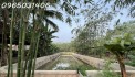 Cho thuê nhà vườn 1800m giá rẻ tại Ấp Long Hưng,Xã Long Nguyên, Huyện Bàu Bàng, Bình Dương