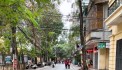 Nhà phố Tạ Quang Bửu, khu vực vip sầm uất nhất phố, hiếm nhà bán.