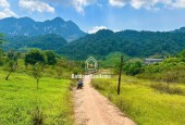 Bán Đất 700m² Tại Mộc Châu – Vị Trí Đẹp, Gần Thác Dải Yếm, Thích Hợp Kinh Doanh Homestay & Coffee