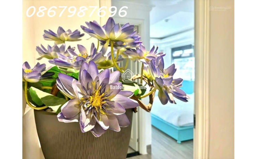 Cho thuê nhà nguyên căn khu phố Tây đường Biệt Thự
