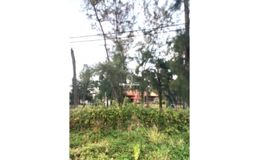 4.200 m2 đất mặt tiền biển đường Phan Đức - Long Hòa Cần Giờ - Giá 105 tỷ