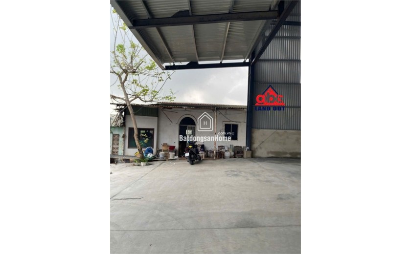 XT099 nhà xưởng cho thuê ổn định lâu dài, phục vụ nhiều ngành nghề, ưu tiên sạch