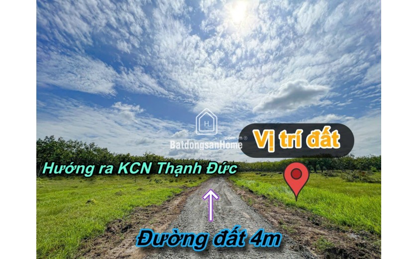 Thạnh Đức-Gò Dầu 1.5ha sẵn 2480m2 thổ cư đất kế kênh mát mẻ đường oto tới đất giá chỉ 6.5ty