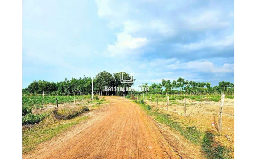 ĐẤT ĐẸP - GIÁ TỐT - CHÍNH CHỦ Cần Bán Nhanh Đất lô tại Xã Thanh An, Huyện Hớn Quản, Bình Phước