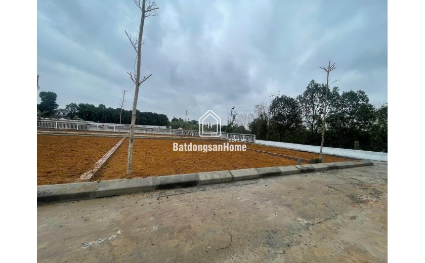 Đất giá rẻ cho gia đình trẻ Lại Thượng đường to thông 115m nhỉnh 2  tỷ