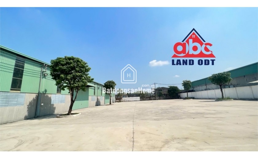 XT142 nhà xưởng sản xuất. kết cấu xưởng khung thép tiền chế, an toàn sản xuất lâu dài