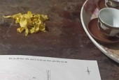 Giảm chào cần bán gấp! Lô 655m2 đất Đông Sơn, thị trấn Rừng Thông giá chỉ 3tr5/m2