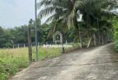 Chính Chủ Cần Bán Đất An Sơn, Thuận An – 686m², Thổ Cư 200m², Giá 6.311 Tỷ