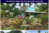 NHÀ SANG MỸ HẾT NÊN CẦN BÁN GẤP LÔ ĐẤT VƯỜN CÓ 400 THỔ CƯ