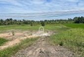 Cần bán đất nền tại ấp 10, xã Thuận Hưng, huyện Long Mỹ, tỉnh Hậu Giang (kế bên cầu Ba Phát). Giá: 3,9/nền.
