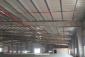 CHO THUÊ NHÀ XƯỞNG TRONG KCN AN ĐIỀN. BẾN CÁT BD. Diện Tích Đất : 11.000 m2. Diện Tích Xưởng Lầu và Trệt + Vp Liền Kề : 8878 m