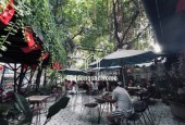 Gò Vấp ! SANG NHƯỢNG QUÁN Cafe S/VƯỜN 500m2 ( 20m x 27m ), MB thuê chỉ 37 tr / tháng, Liên hệ: 0962415393 ( Chính chủ )