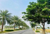 ĐẤT NỀN CÓ SỔ SẴN ĐỐI DIỆN ECO RETREAT ĐÓN ĐẦU SÓNG ĐẦU TƯ,CÔNG CHỨNG TRONG NGÀY