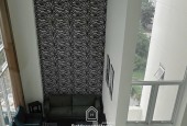 Cần Cho Thuê Căn Duplex siêu lớn 306m2 tại Khu căn hộ cao cấp Terra Rosa - Nguyễn Văn Linh, căn góc, có hồ bơi vô cực ở ban công