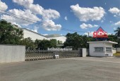 XT131 nhà xưởng mới kết cấu hiện đại, DT xưởng thuê linh hoạt. khuôn viên rộng lớn