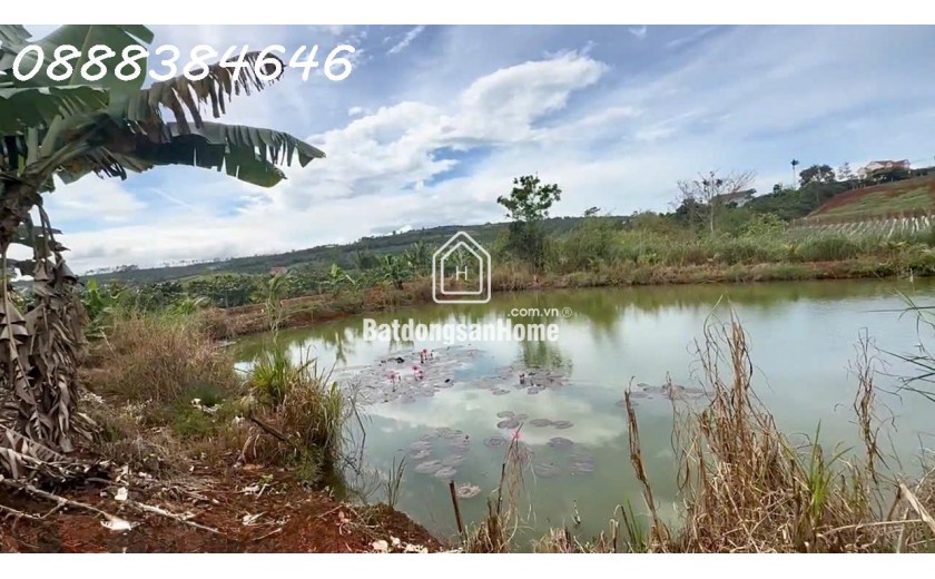 Chính chủ cần bán 3611m2- 400m đất ở ( sẵn nhà cấp 4 ) tại Xã Tân Hà, Lâm Đồng, giá đầu tư