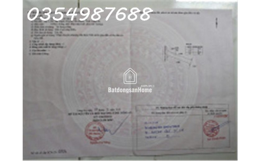 Nhanh tay sở hữu đất nền tại Tân Trạch, Cần Đước, Long An
