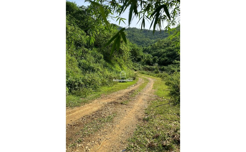 ĐẤT ĐẸP - GIÁ TỐT - CHÍNH CHỦ - VỊ TRÍ ĐẮC ĐỊA Tại Xóm Ngành, Xã Liên Sơn, Huyện Lương Sơn, Tỉnh Hoà Bình