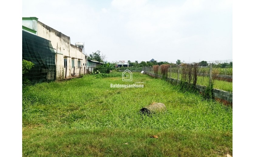 Bán đất thổ cư 784m² (11.5m x 64m), Nguyễn Thị Ngoạn, Trung Lập Thượng, Củ Chi, hướng Tây Bắc, 3.6 tỷ