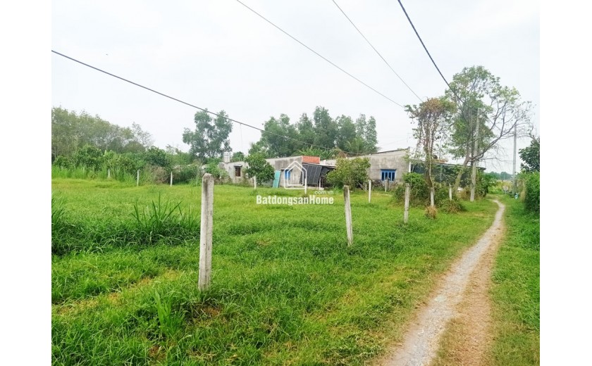 Bán đất 1/ đường 531 - 1279m2 - 30x43 - 90m2 thổ cư - xã Nhuận Đức - Củ Chi