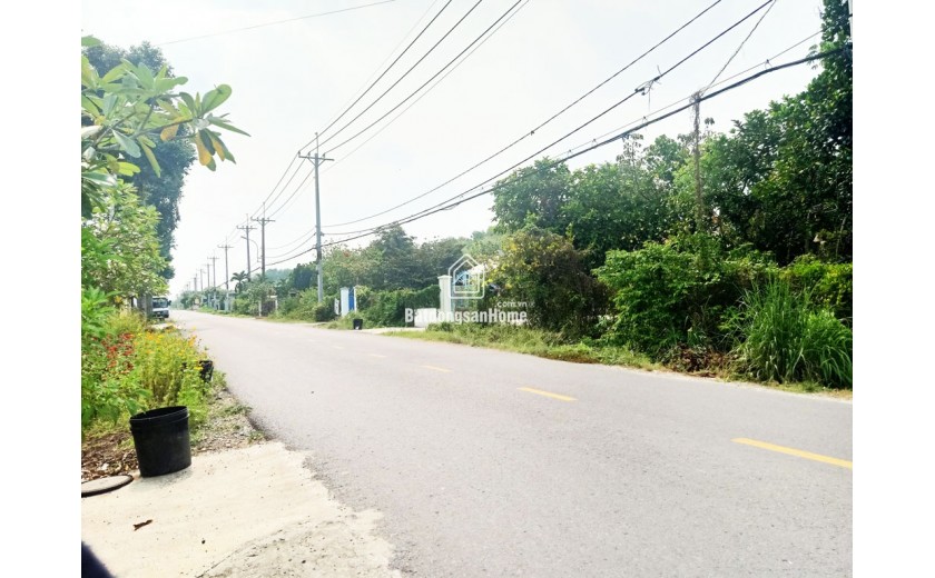 Bán nhà đường Bùi Thị Điệt - 694m2 - 12x58 - 200m2 thổ cư - xã Phạm Văn Cội - Củ Chi