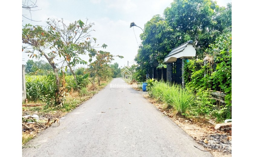 Bán đất thổ cư 784m² (11.5m x 64m), Nguyễn Thị Ngoạn, Trung Lập Thượng, Củ Chi, hướng Tây Bắc, 3.6 tỷ