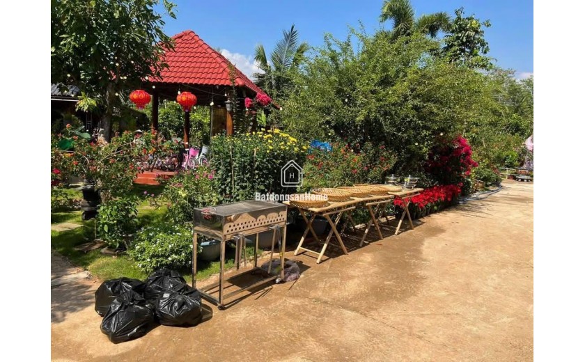 Bán gấp nhà 3900 m2. giá 300tr , nhà cấp 4 nhà chòi, sân vườn, cây trái
