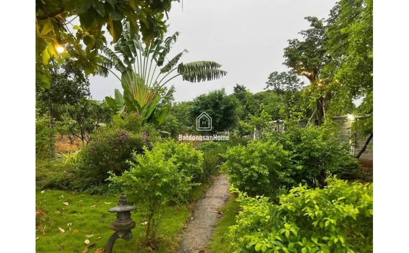 Bán gấp nhà 3900 m2. giá 300tr , nhà cấp 4 nhà chòi, sân vườn, cây trái
