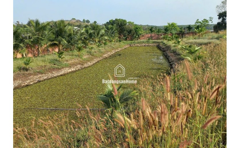 SỞ HỮU ĐẤT ĐẸP CHÍNH CHỦ  - Vị Trí Đẹp Thơ Mộng hồ Đá Bàng Tại : Đá Bạc  - Châu Đức - Bà Rịa Vũng Tàu