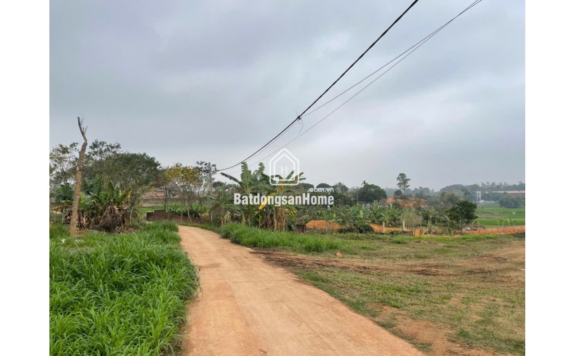4500m Hướng Đạo, Tam Dương, Vĩnh Phúc