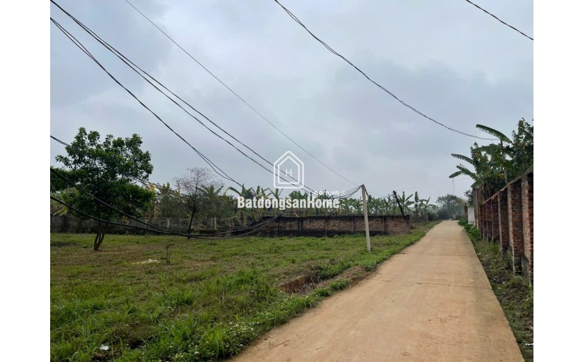 4500m Hướng Đạo, Tam Dương, Vĩnh Phúc