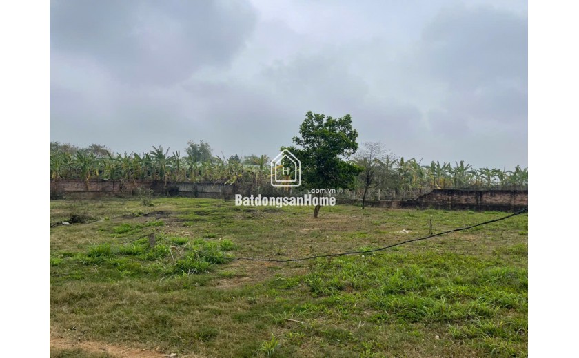 4500m Hướng Đạo, Tam Dương, Vĩnh Phúc