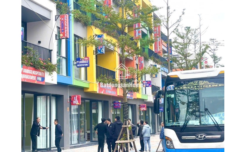 Mở bán Shophouse, Villa Flamingo Golden Hill view hồ Tam Chúc vị trí đắc địa