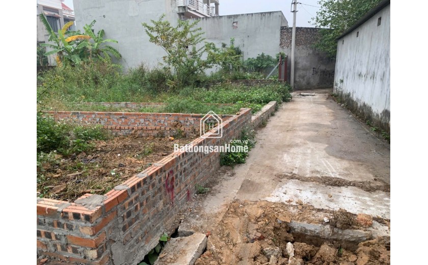 BÁN ĐẤT BẾN TRUNG, BẮC HỒNG, ĐÔNG ANH, HÀ NỘI. 67M2, MT 4.2M. GIÁ 50TR/M.