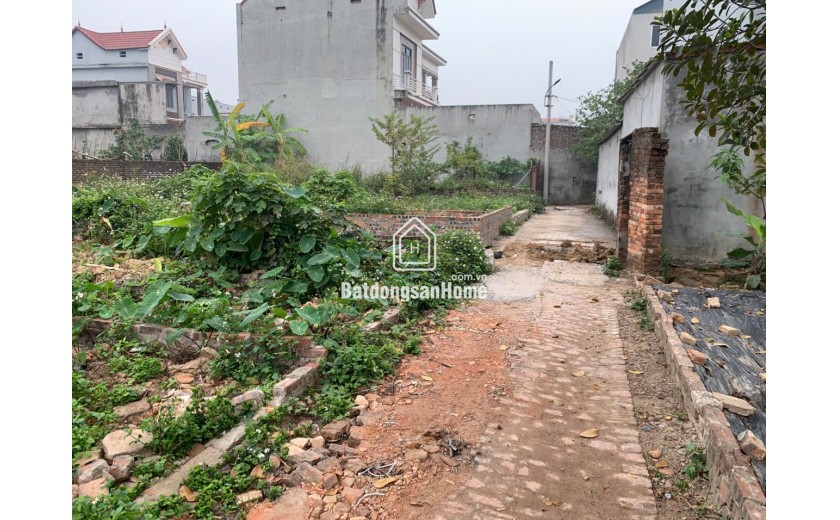 BÁN ĐẤT BẾN TRUNG, BẮC HỒNG, ĐÔNG ANH, HÀ NỘI. 67M2, MT 4.2M. GIÁ 50TR/M.