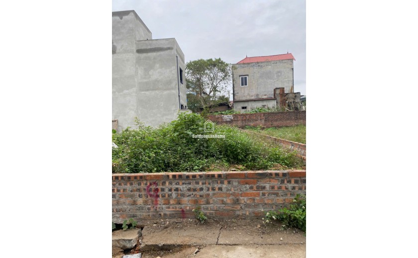 BÁN ĐẤT BẾN TRUNG, BẮC HỒNG, ĐÔNG ANH, HÀ NỘI. 67M2, MT 4.2M. GIÁ 50TR/M.