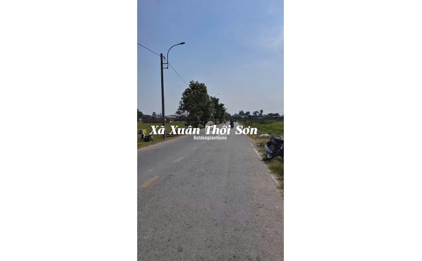 (8) Bán đất lớn mặt tiền, đường xe container, 4.208m2, Huyện Hóc Môn giá 30 tỷ + x tỷ
