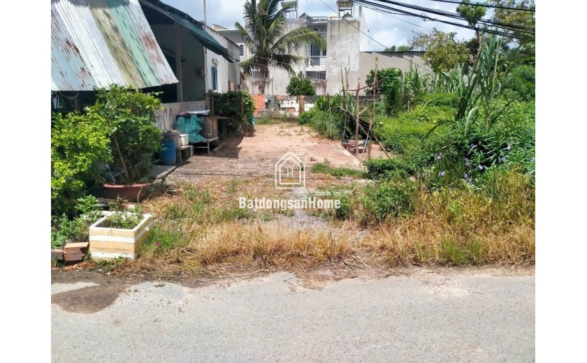 Chính chủ) Bán lô đất shr thổ cư - đường nhựa 361, xã Tân thạnh Đông, Củ Chi