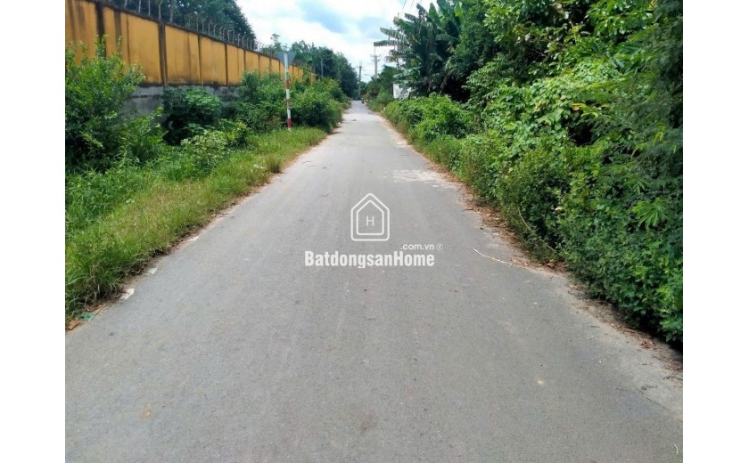 Chính chủ) Bán lô đất shr thổ cư - đường nhựa 361, xã Tân thạnh Đông, Củ Chi